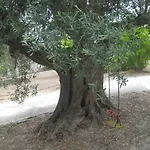La Quiete Nyaraló *