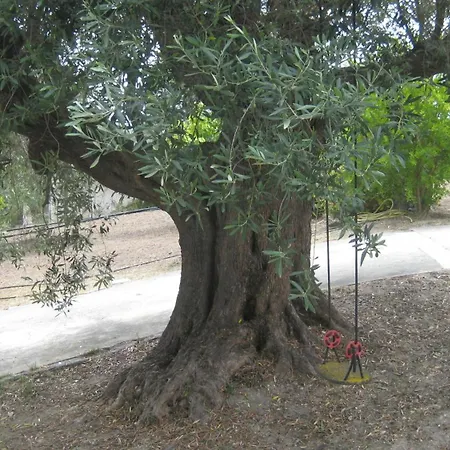 La Quiete Tatil Evi *